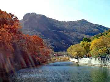 新澳天天开奖资料大全旅游团，白马寺正骨膏